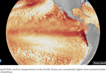 PM-led task force to coordinate Super El Niño response